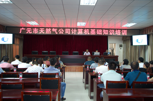 广元天然气有限公司无线服务该项目